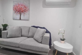 Lovely Central City Apartment St Asaph Street 103